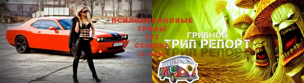 jwh Заволжск