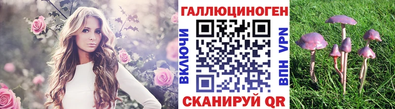 Купить закладки  Белокуриха  Галлюциногенные грибы Magic Shrooms 