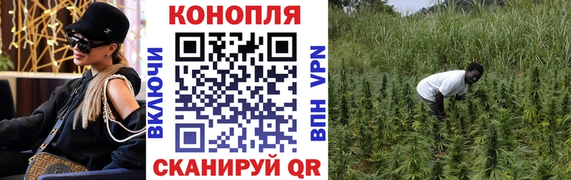 Каннабис Bruce Banner  Купить закладки  Белокуриха 